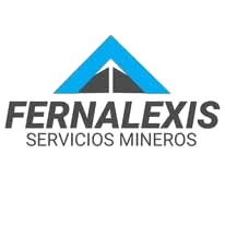 Inicio fernalexis removebg preview